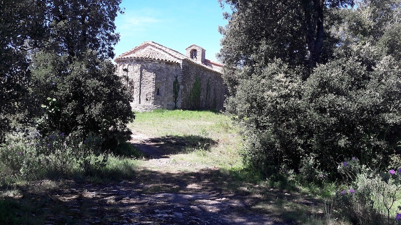 Sant Feliu Corre Ascens Sant Sadurní 2018 23km Sportvicious